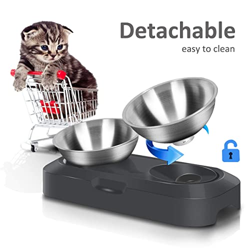  AYADA Raised Cat Food Bowl Set, Stainless Steel Cat Dish For Food Water Anti Vomiting Elevated With Stand Ergonomic Lifted Slanted Tilted 15 Angle Metal Double Kitty Kitten Wet Food Bowl 2 Pet Bowl