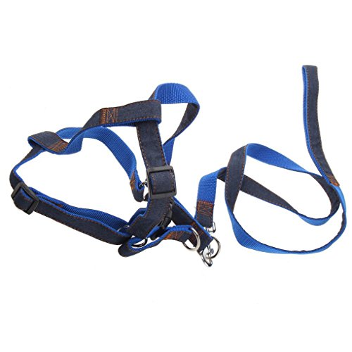 FakeFace Heavy Duty Denim Nylon No Pull Dog Leash Harness/Collar Set For Medium Large Dogs Of High Durability Adjustable, Perfect For Training Walking Dogs
