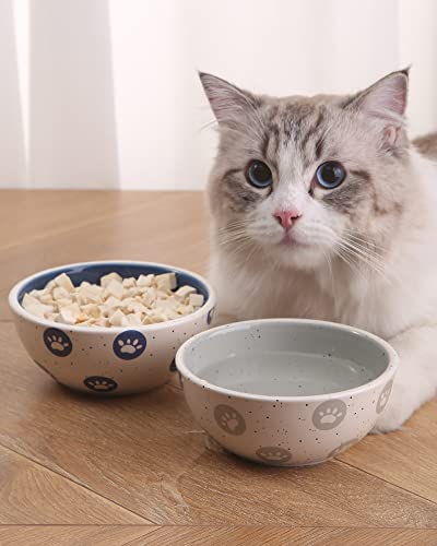  ARRADEN Cat Food And Water Bowl Set, 2pcs Ceramic Cat Bowl, 8 OZ Large Cat Bowls, Whisker Friendly Cat Food Bowls For Indoor Cats, Puppies, Small Dogs