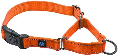  Max And Neo Nylon Martingale Collar - We Donate A Collar To A Dog Rescue For Every Collar Sold (Medium, Teal)