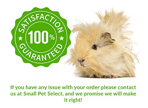  Small Pet Select-Premium Guinea Pig Pellet Food, Non-GMO, Soy Free. Local Ingredients In Pacific Northwest, 10lb, Green (10lbgpnongmo)