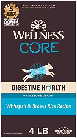  Wellness CORE Digestive Health Dry Senior Food With Wholesome Grains, Advanced Age For Dogs Over 7-Years Old, For Dogs With Sensitive Stomachs, Made In USA With Real Chicken (Senior, 24-Pound Bag)