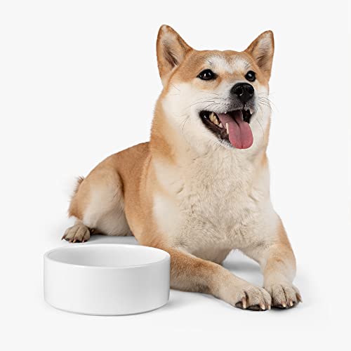 GENERIC Personalized Daisy Pattern Pet Bowl Custom Pet Name, Daisy Bowl Ceramic For Dogs, Cats Drinking Bowl, Available In Two Sizes