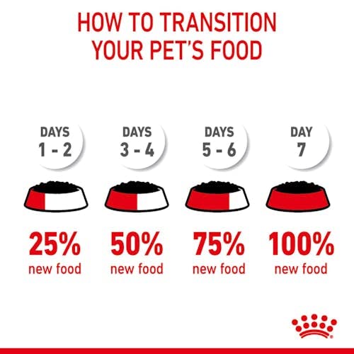  Royal Canin Feline Multipack Intense Beauty Cat Food In Jelly 12x85g (1.02kg)