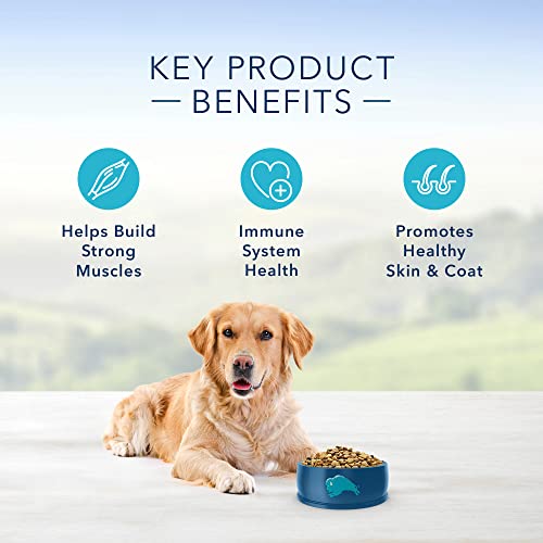  Blue Buffalo Life Protection Formula Natural Adult Dry Dog Food, Chicken And Brown Rice 5-lb Trial Size Bag