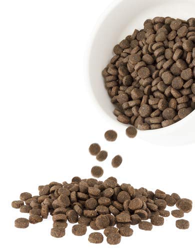  Harlow Blend Healthy Pet All Life Stages Dog Formula, Grain, And GMO Free - 7 Lb Fish Fusion, Other Available Formulas (Lamb & Rice, Chicken, Rice & Vegetable, Fish Fusion)