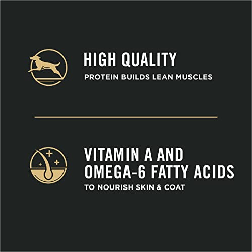  Purina Pro Plan High Protein Puppy Food DHA Lamb & Rice Formula - 6 Lb. Bag