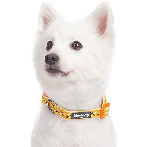  Blueberry Pet Essentials 10 Patterns Statement Busy Bees Designer Adjustable Dog Collar, Large, Neck 18"-26"