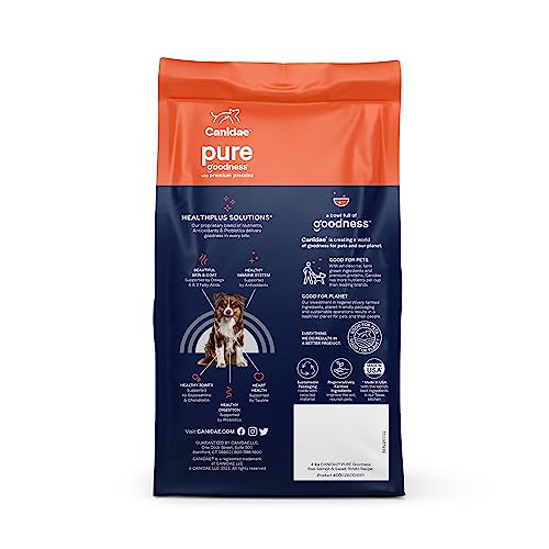 Canidae Pure Real Salmon & Sweet Potato Recipe Adult Dry Dog 22 LB