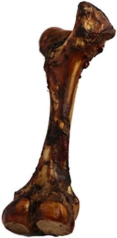 K9 Connoisseur Single Ingredient Dog Bones Made In USA For Large Breed Aggressive Chewers All Natural Long Lasting Meaty Mammoth Marrow Filled Bone Chew Treat Best For Dogs Over 50 LBS -Goliath 1 Pack
