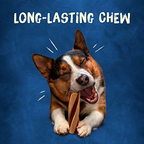  Purina Busy With Beggin' Made In USA Facilities Small/Medium Breed Dog Treats, Twist'd - 10 Ct. Pouch