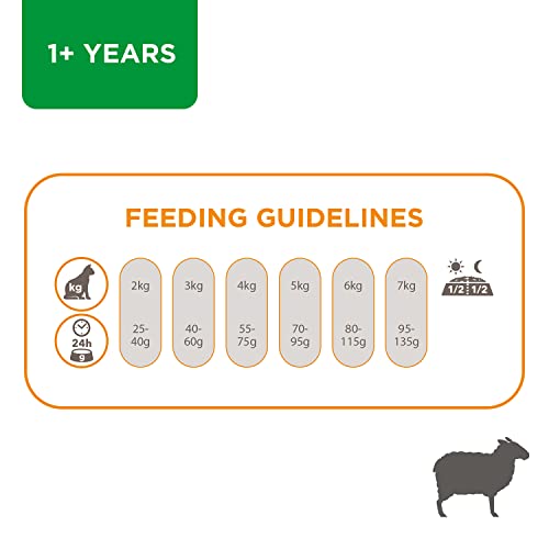  Rapchel Iams Proactive Health Complete And Balanced Cat Food With New Zealand Lamb And