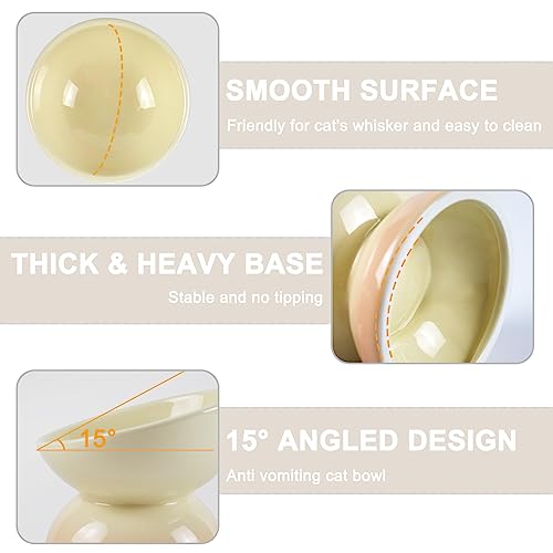  Ceramic Raised Cat Bowl, 15° Tilted Elevated Cat Food Or Water Bowl For Cats And Small Dogs, Anti-Vomiting Cat Dish Stress Free Cat Feeder, Pink