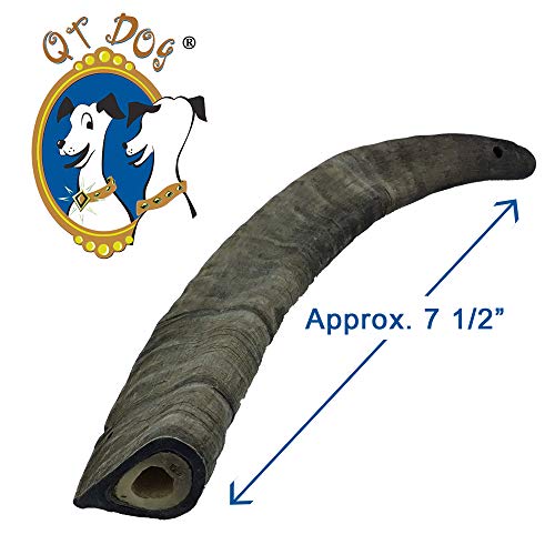  4 Pack Of Gobi Goat Horns Small Long Lasting 100% Natural Gobi Desert Goat Horn Dog Chews With Marrow