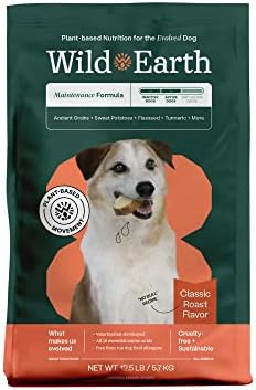  Wild Earth Vegan Dry Dog Food Performance Formula | Plant-Based Vegetarian Kibble | Wheat-Free, Allergen-Free, Veterinarian-Developed | Veggie Chick'n Kabob Flavor, 4lb Bag