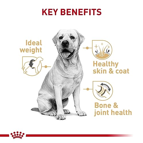  Royal Canin Labrador Retriever Adult Dry Dog Food, 30 Lb Bag