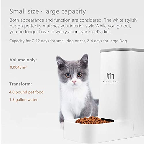  Marchul Cat Dog Feeder And Waterer Pet Self-Dispensing, Cat Food Dispenser, Automatic Cat Feeders, Outdoor Sun Protection Design Gravity Food Feeder And Waterer Set (Feeder+Waterer)