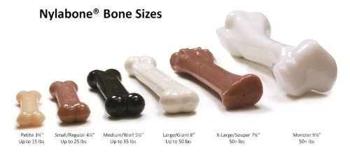  Nylabone (3 Pack) Dura Chew Bacon Flavored Bone - Size Regular