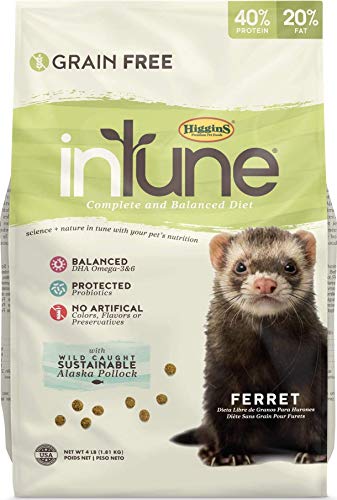  Higgins Pet Food Intune Ferret 4Lb
