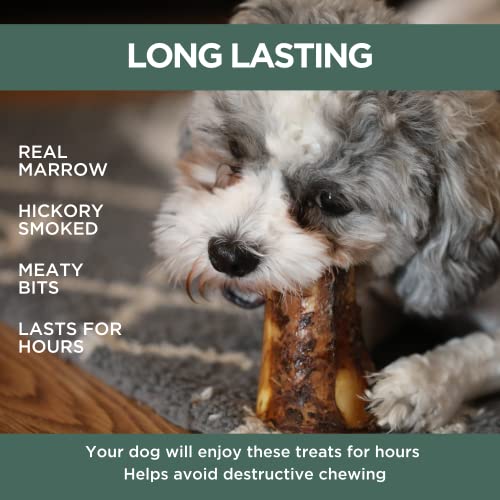  K9 Connoisseur Single Ingredient Dog Bones Made In USA Natural Marrow Filled Dynamo Bone Chew Treats For Small To Medium Breed Aggressive Chewers Dogs - Best Up To 50 Pounds 6 Pack