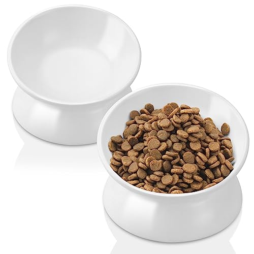 GENERIC PAILUOMU Ceramic Raised Cat Bowl, Set 2 Tilted Elevated Pet Food And Water Bowls, Stress Free Cat Dog Feeder Dish, Suitable For Small, Medium Cats And Dogs,White