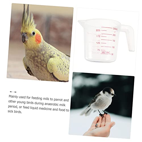  POPETPOP Clear Kettle 6 Pcs Tool And Graduation Free Scoop Grip With Spout Nursery Feeder Home Milk Bpa Pet Cooking Birds Baking Handle For Food Feeding Measuring Cats Dogs Cup