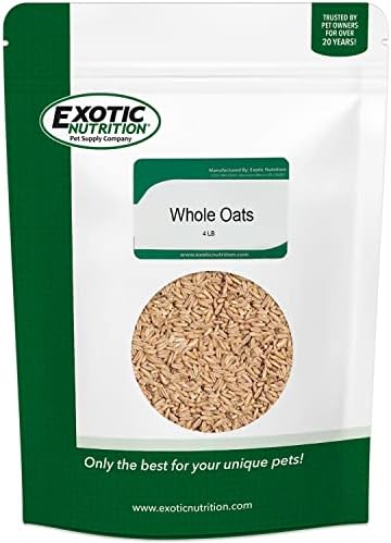  Exotic Nutrition Whole Oats 4 Lb. - Healthy Supplemental Food - Natural Whole Oats For Prairie Dogs, Degus & Chinchillas…