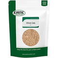  Exotic Nutrition Whole Oats 4 Lb. - Healthy Supplemental Food - Natural Whole Oats For Prairie Dogs, Degus & Chinchillas…