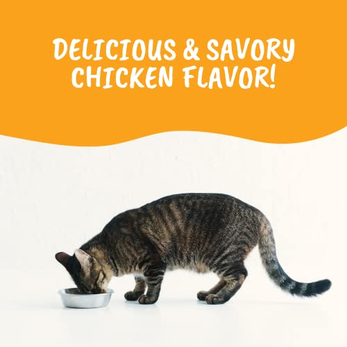  Under The Weather Ready Cal Powder For Cats | High-Calorie, Weight Gainer, Appetite Stimulant, Energy Booster Pet Suppliment | 20 Scoops (Scoop Included)
