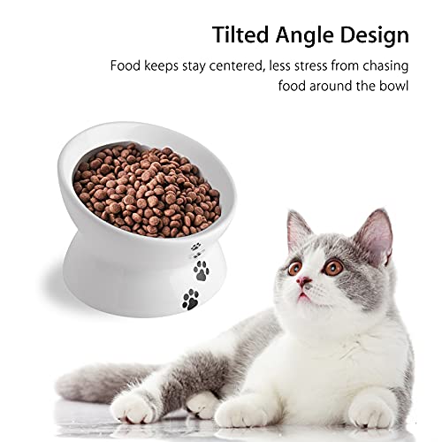  Cat Food Bowls, 10 OZ Elevated Cat Bowls For Cats And Small Dogs, Tilted Pet Feeder Bowl With Raised Stand Protect Cat's Spine, Ceramic Cat Water Bowl No-Spill, Stress Free Cat Dish 2pcs