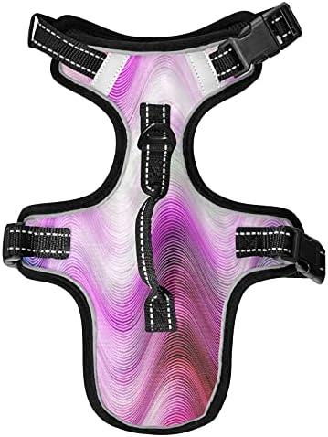  Poeticcity Mushrooms Natural Fungus Mushrooming Organic Food On Brown No Pull Vest Harness, Padded Reflective Adjustable Harnesses For Small To Large Dogs Cats With Leash Clips Easy Control Handle S