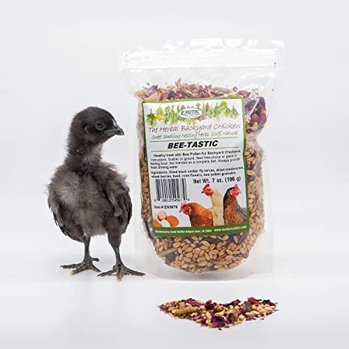  Exotic Nutrition Bee-Tastic - Healthy All-Natural Chicken Treat - Dried Insects, Flowers, Herbs Wheat Berries & Bee Pollen - Promotes Healthy Chickens & Eggs (1.5 Lbs)