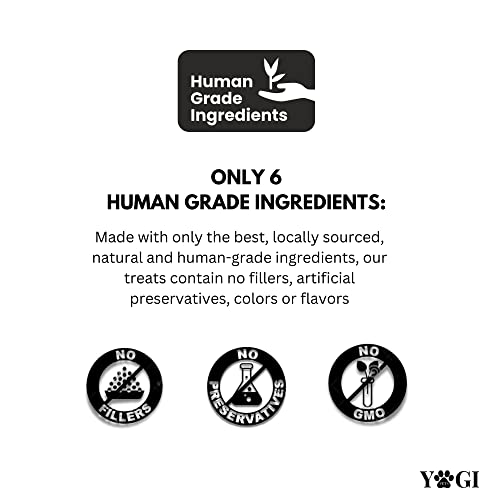  Honest5 - Human-Grade - Frozen Fresh Fish & Broccoli Dog Food - Rich In Omega-3s, 6 Ingredients, Promotes A Shiny Coat And A Healthy Heart, 48 Oz