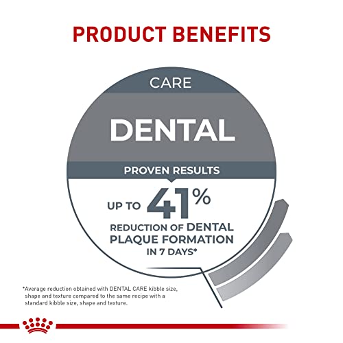  Royal Canin Feline Care Nutrition Dental Care Dry Cat Food, 3 Lb Bag