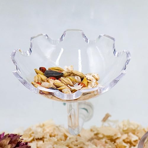  Hamsters Feeder, Transparent Acrylic Feeder Tube And Feeding Dish Set With Suction Cup, Small Animals Food Gravity Auto Dispensers, Suitable For Hamster Rat Guinea Pig Bird Parrot Lizard Hedgehog