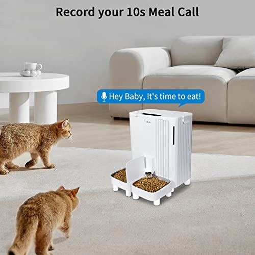  QLIFE Automatic Cat Dog Feeder: Dry Food Dispenser For Dog, Auto Pet Feeder, Portion Control Automatic Dog Feeder (White WiFi, 6L)