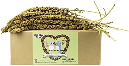  Birds LOVE Wholesome & Lovely Spray Millet Non-GMO No Pesticide (No Stems Only Edible Tops) For Parrots Birds Cockatiel Lovebird Keets Finch Canary All Parrots Healthy Treat-5lbs…