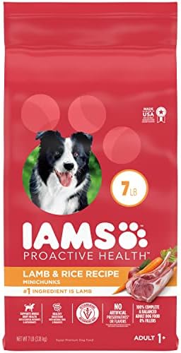  IAMS Minichunks Adult Dry Dog Food Lamb & Rice Recipe Dog Kibble, 38.5 Lb. Bag