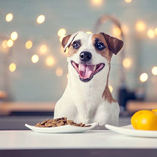 GENERIC Natural Balance Platefulls Wet Dog Food 3 Flavor Sampler - (1) Each: Tender Beef Potato, Harvest Chicken Rice, Savory Duck Pumpkin (9 Ounces) - Plus Rope Toy And Fun Facts Booklet Bundle