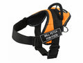 Dean & Tyler DT Fun Will Fetch For Food Harness With Reflective Trim, Medium, Orange