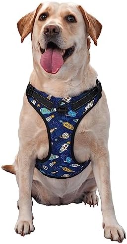  Cartoon Vegetable Food No Pull Dog Harness For Large Dogs No Pull Dog Leash, Adjustable Large Dog Harness Reflective Dog Vest Harness, Easy Walk Dog Harness For Medium Dogs No Pull Pet Harness