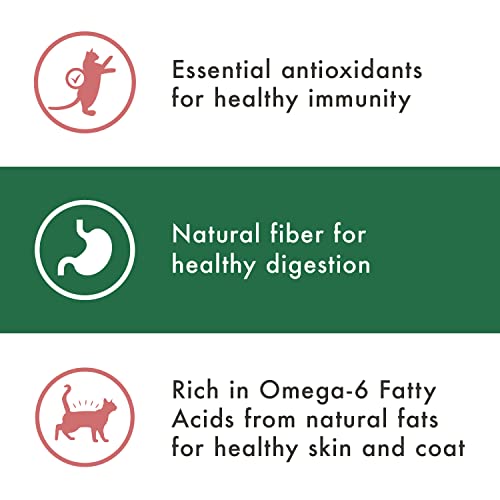  NUTRO WHOLESOME ESSENTIALS Adult Natural Dry Cat Food Salmon & Brown Rice Recipe, 14 Lb. Bag