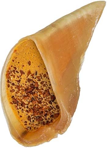  Pawstruck Cow Hooves For Dog Pet Food- Peanut Butter Filled, Made In The USA Bulk Dog Dental Treats & Dog Chews Beef Hoof, American Made (5 Peanut Butter Filled Hooves), 1.3 Pounds