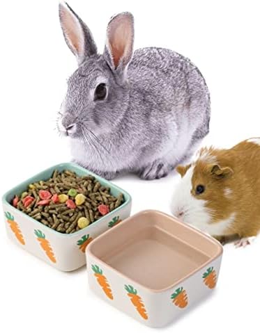  JanYoo Rabbit Accessories Chinchilla Food Bowl And Water Bowls Feeding Ceramic Set For Bunnies Cage Blue Grey (2 Pack)