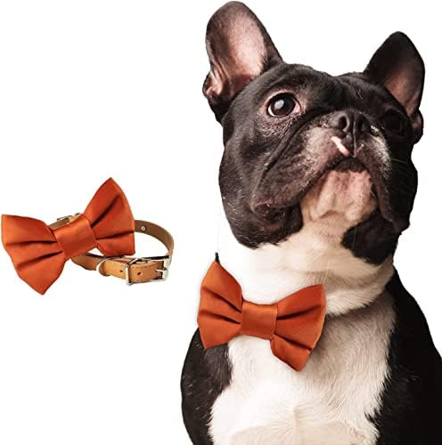  Burnt Orange Dog Bowtie Collar, Dog Wedding Collar, Terracotta Wedding Dog Collar, Formal Dog Collar, Wedding Apparel For Dogs, Dog Collars, Formal Dog Collars (Large: 13.5-16.5" Neck)