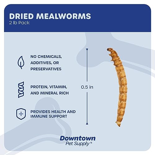  Downtown Pet Supply 2 LB Dried Mealworms For Wild Birds, Poultry, Reptiles, And Small Mammals Rich In Vitamin B12, B5, Protein, Fiber, Omega 3 Fatty Acids - Great As Mealworms For Chicken