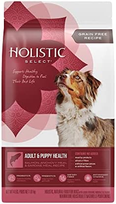  Holistic Select Natural Grain Free Dry Dog Food, Adult & Puppy Salmon, Anchovy & Sardine Recipe, 24-Pound Bag