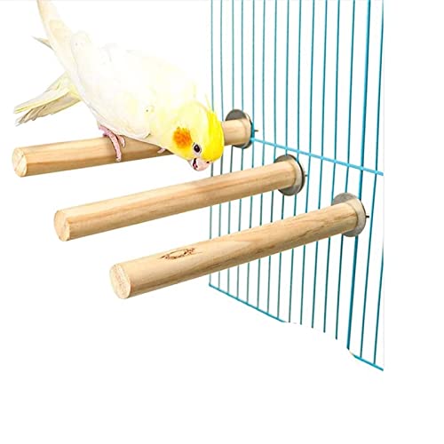  JYDQM 10pcs/Set Pet Bird Chew Toys Parrot Perches Stand Platform Cage Toy Paw Grinding Toys For Parrot Bites Parakeet Bird Product