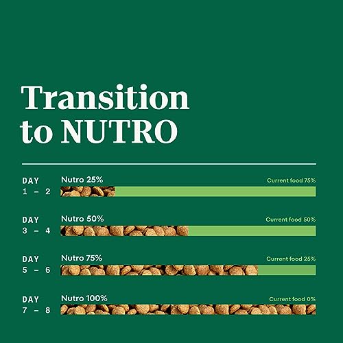  NUTRO NATURAL CHOICE Adult Dry Dog Food, Beef & Brown Rice Recipe Dog Kibble, 4.5 Lb. Bag