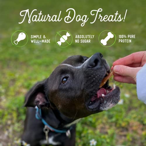  Beg & Barker Chicken Jerky For Dogs (10 Oz, Pack Of 1) - Dog Training Treats - Natural Dog Treats Made In The USA - Grain Free, Diabetic-Friendly, High Protein, Sugar-Free (Chicken Dog Jerky)
